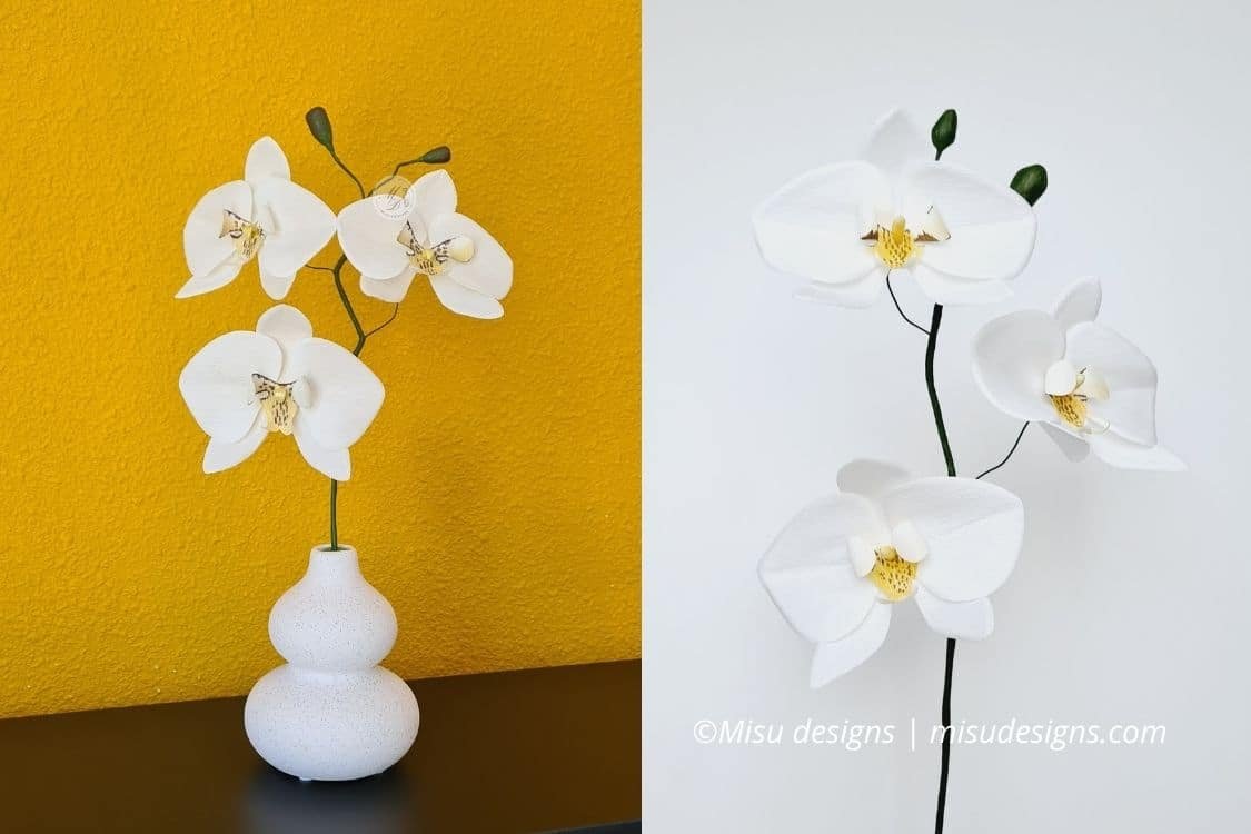 paper orchid