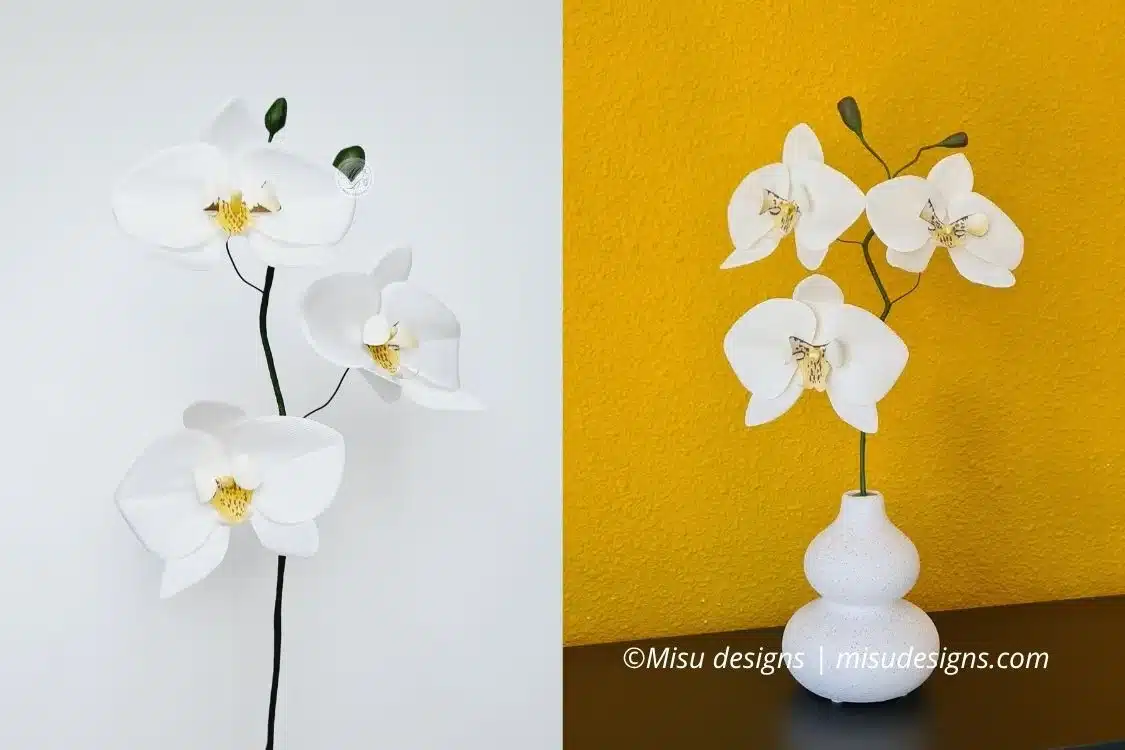 paper orchid